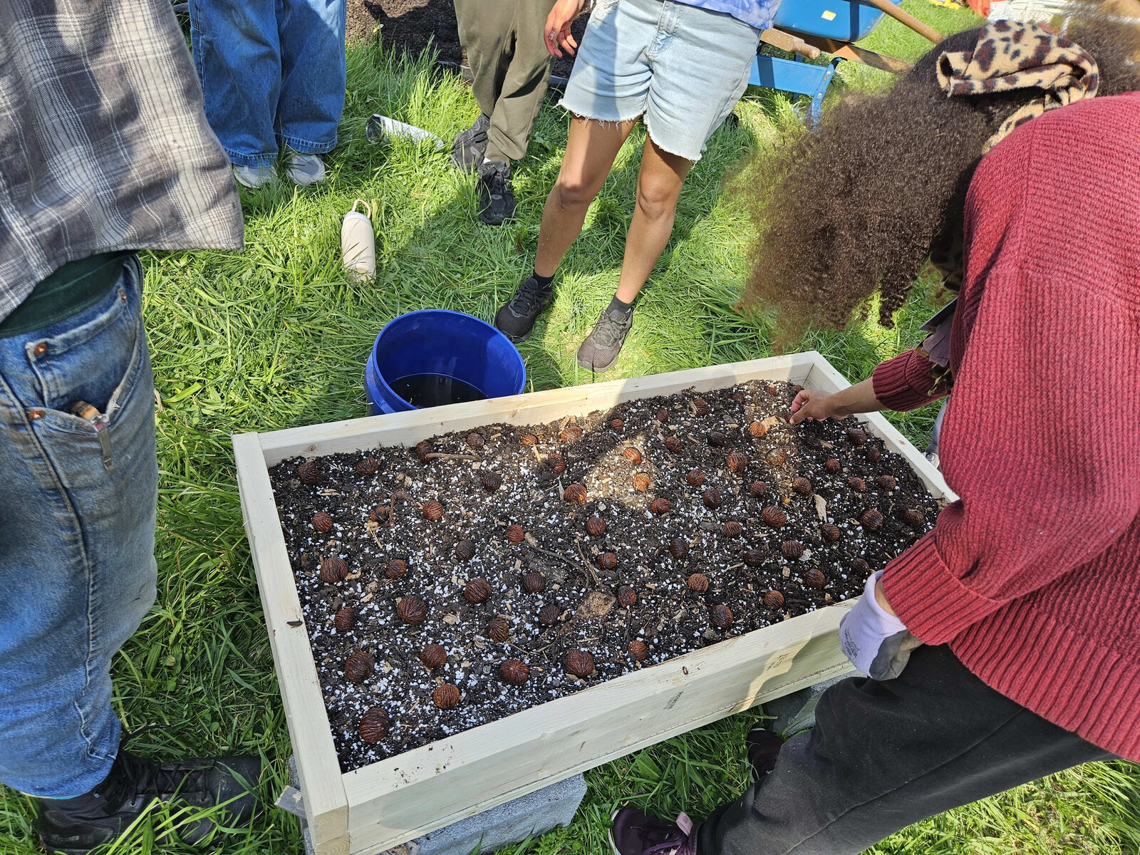 Solutions Inspired by Nature: biomimicry, agroforestry, and tree propagation for farming systems