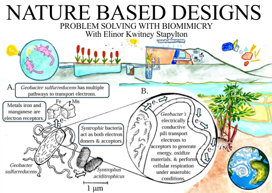Nature Based Designs: Problem Solving with Biomimicry — microbial fuel cell and earthship systems illustration