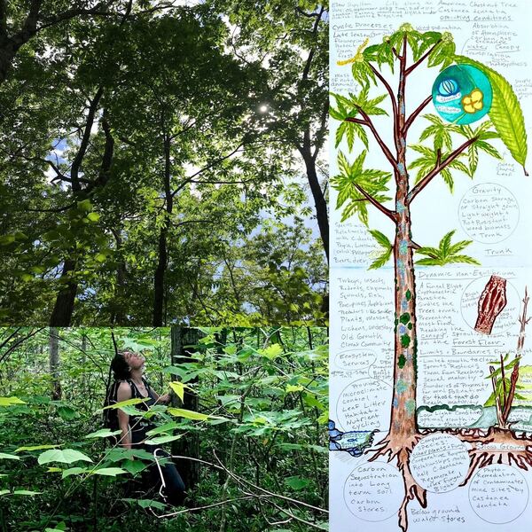 Nature-Based Designs