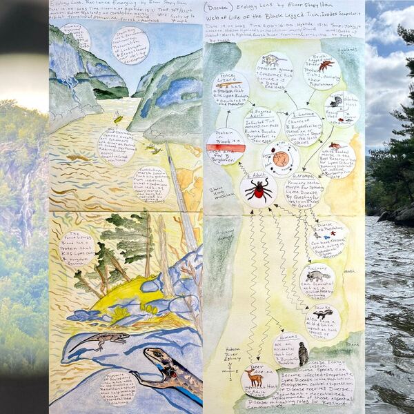 Nature-Based Designs